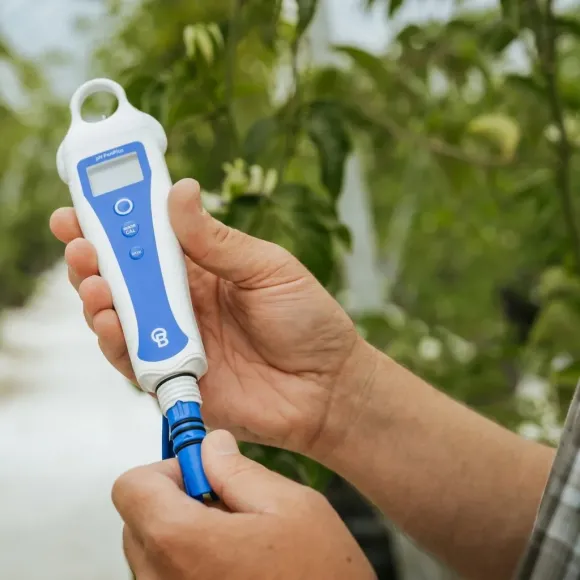 Bluelab PH Pen Plus austauschbare Sonde kaufen