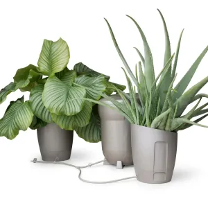 AutoPot Chloris Bewässerung 8,5L 2 Pflanzen kaufen