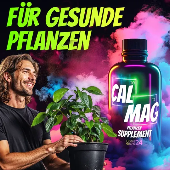 Homegrow24 CalMag 250ml für Pflanzen kaufen