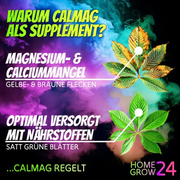 Homegrow24 CalMag 250ml für Pflanzen kaufen
