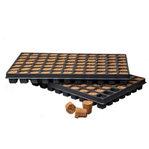 Canna Rootplugs Stecklingstray 77stk. kaufen