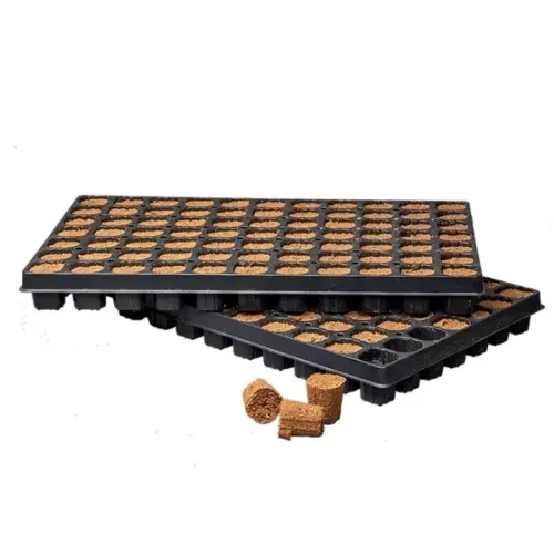 Canna Rootplugs Stecklingstray 77stk. kaufen