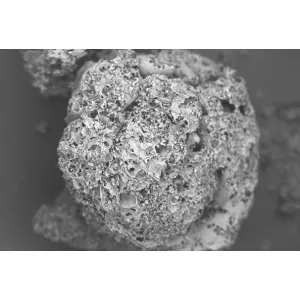 Perligran Perlite Premium für Substrat 100 Liter kaufen 2