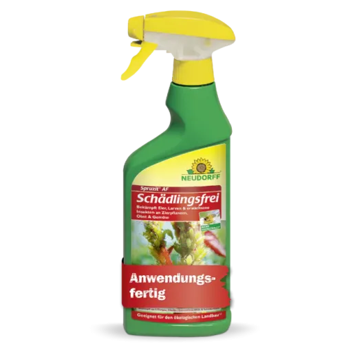 Neudorff Spruzit AF Schädlingsfrei 250ml kaufen