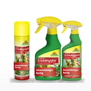 Neudorff Spruzit AF Schädlingsfrei 250ml kaufen