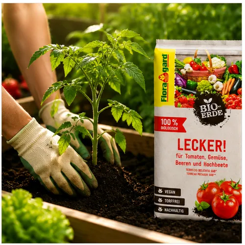 Floragard Bio-Erde Lecker 20L kaufen
