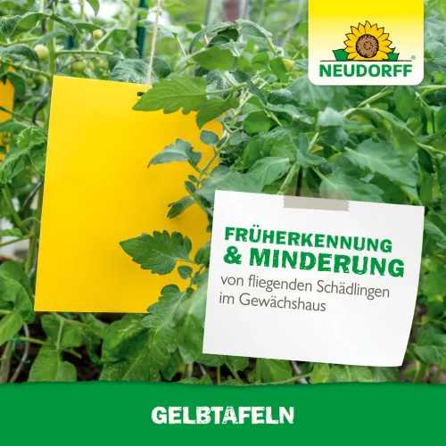 Neudorff Gelbtafeln XXL 5 Stück kaufen