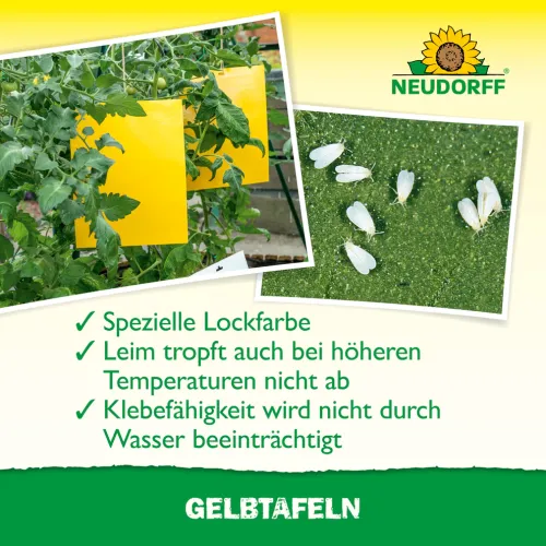 Neudorff Gelbtafeln XXL 5 Stück kaufen