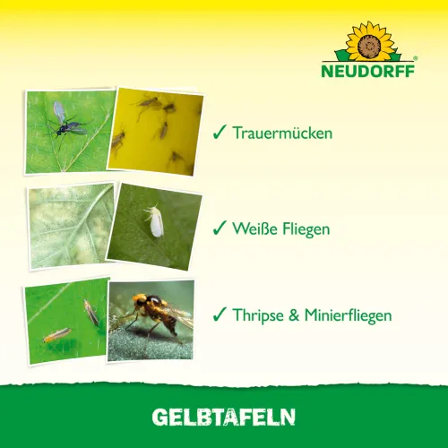Neudorff Gelbtafeln XXL 5 Stück kaufen