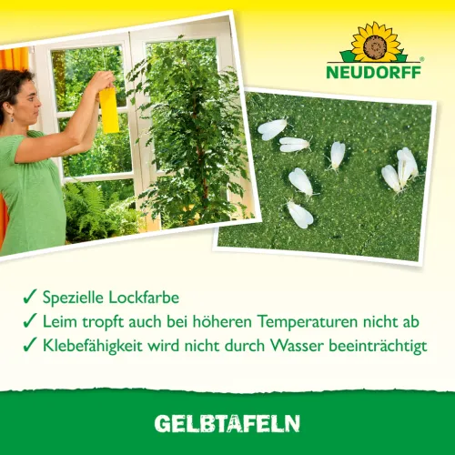 Neudorff Gelbtafeln 7 Stück gegen Schädlinge kaufen