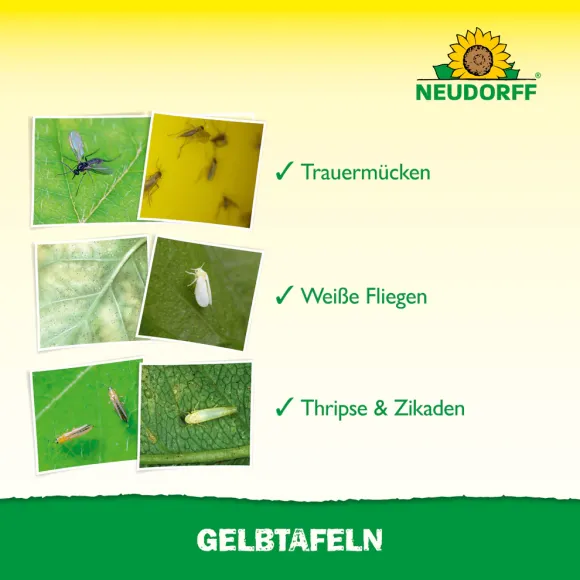 Neudorff Gelbtafeln 7 Stück gegen Schädlinge kaufen