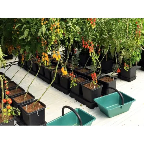 AUTOPOT easy2grow AquaValve5