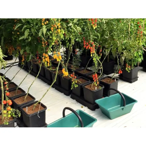 AUTOPOT easy2grow AquaValve5