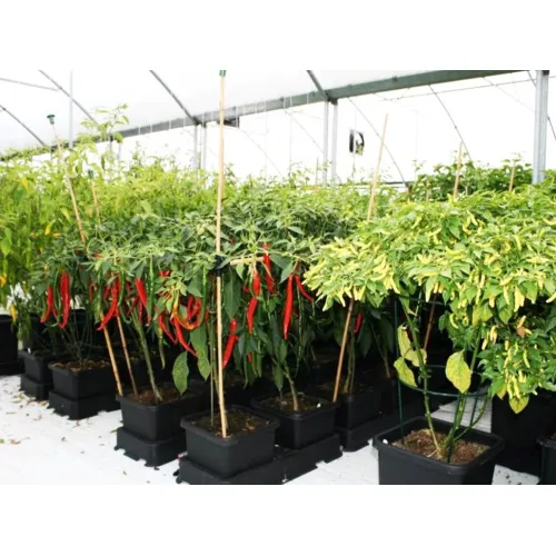AUTOPOT easy2grow AquaValve5