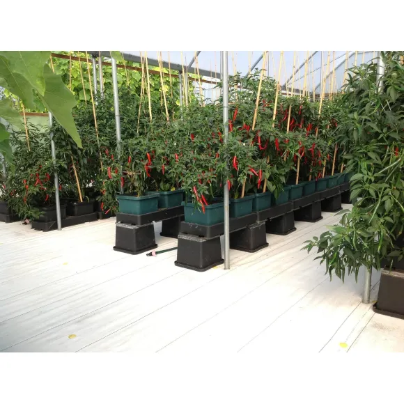 AUTOPOT easy2grow AquaValve5