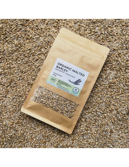 Organic Malted Barley by Almicanna