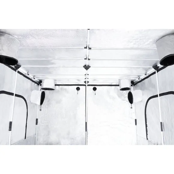 GHP Probox Basic 240