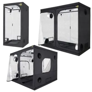 GHP Probox Basic 240