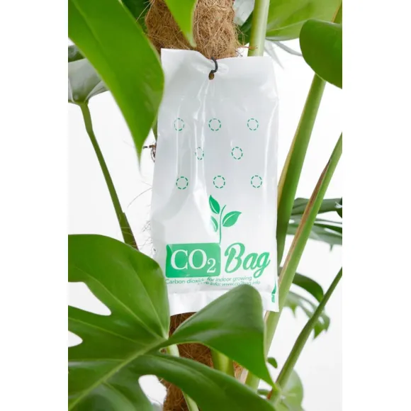 CO2 Bag Kohlendioxid-Tüte