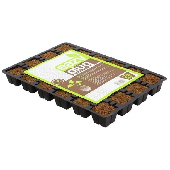 Eazy Plug Stecklingstrays 12er kaufen