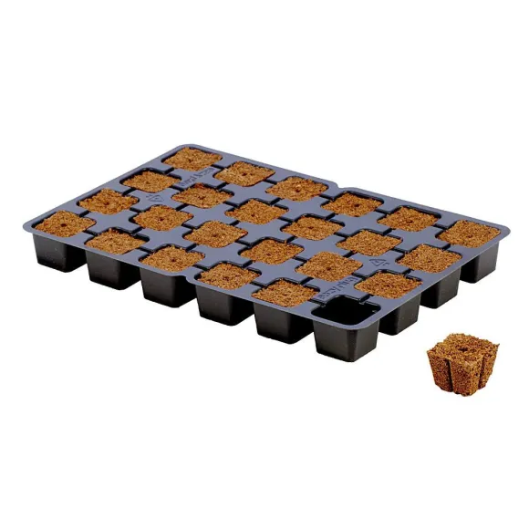 Eazy Plug Stecklingstrays 12er kaufen
