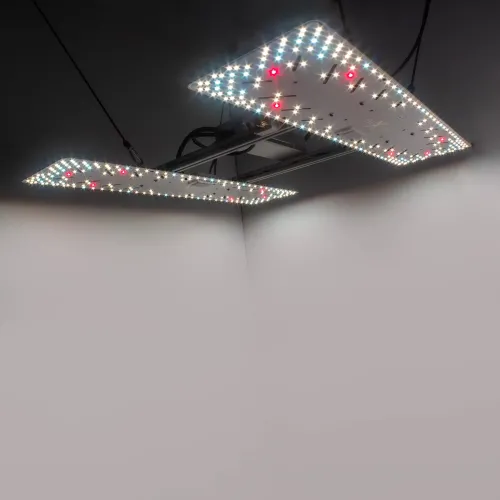 Crescience Wingman 600L 220W LED Growlampe kaufen