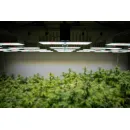 SANlight Evo