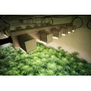 SANlight Q-Serie (Auslaufmodelle)