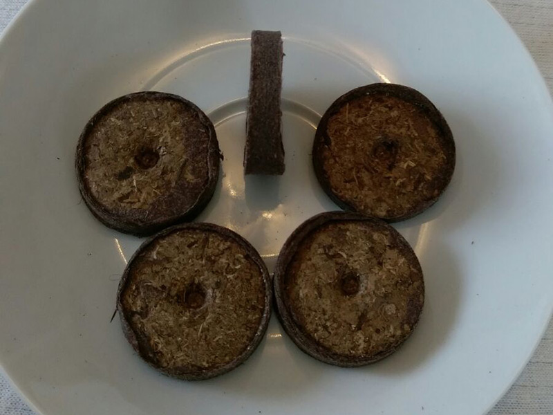 Quelltöpfe aus Kokos auf einem Teller