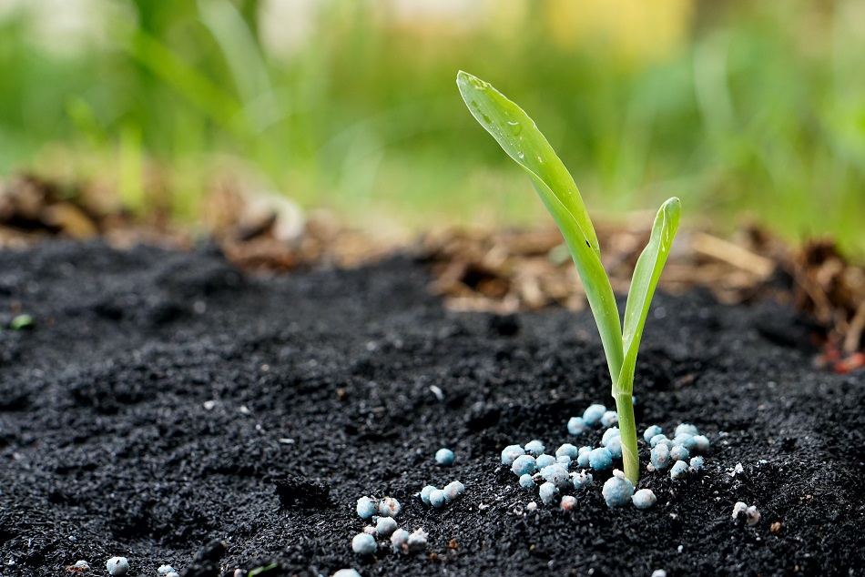Richtig dngen: Hol das Maximum aus deinen Pflanzen | Grow Guru