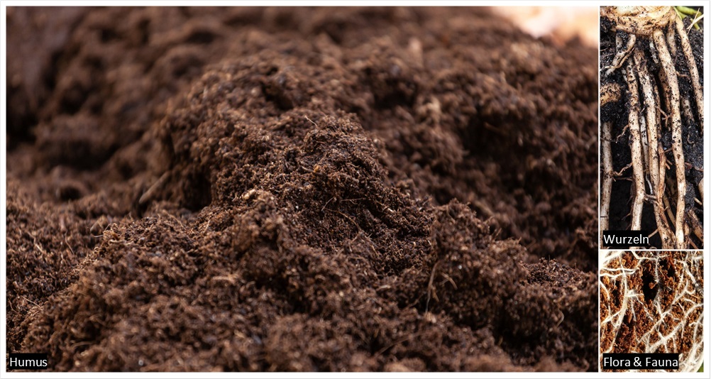 Richtig dngen: Hol das Maximum aus deinen Pflanzen | Grow Guru
