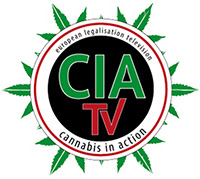 cia tv logo gruen rot