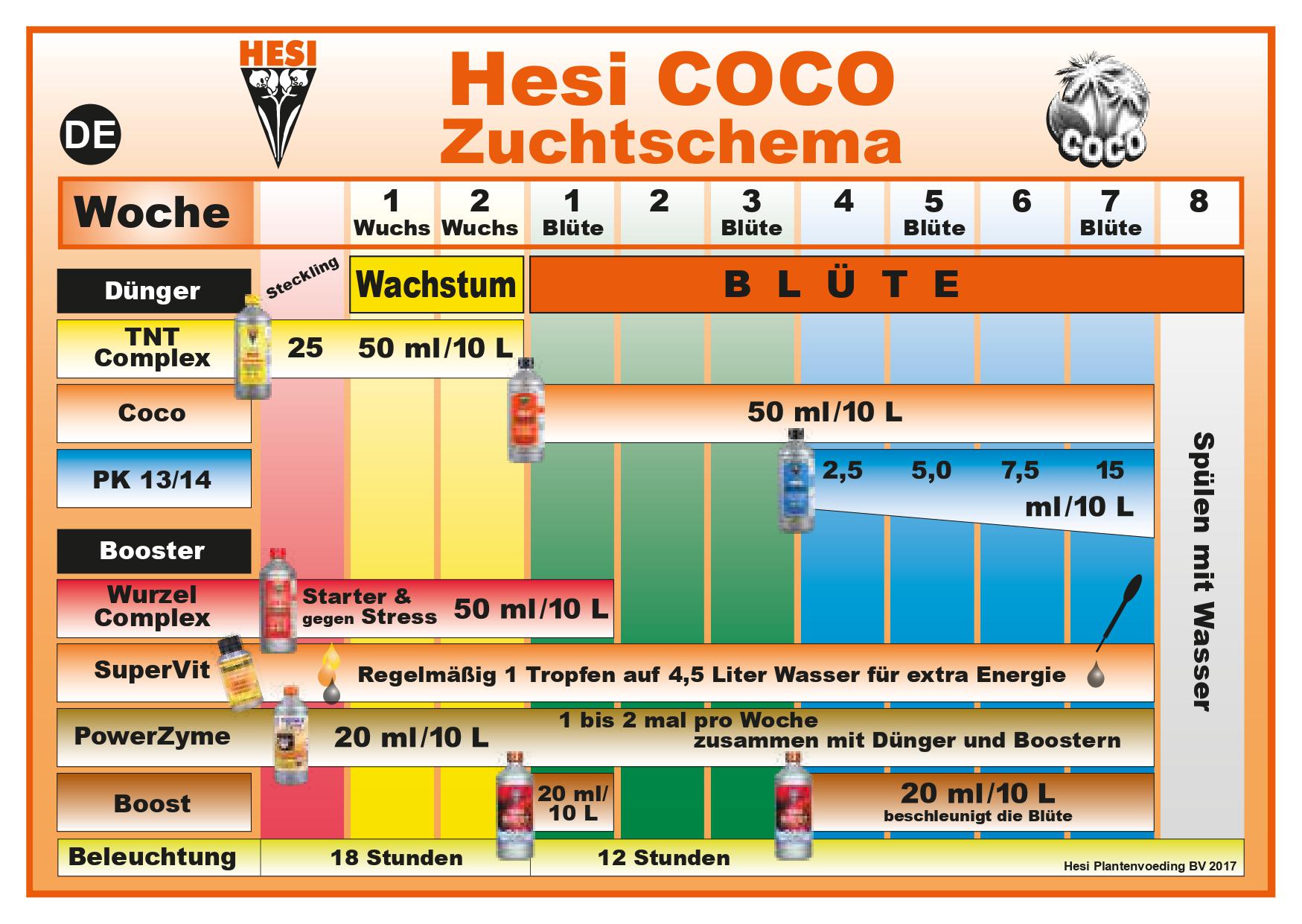 Hesi Schema Coco